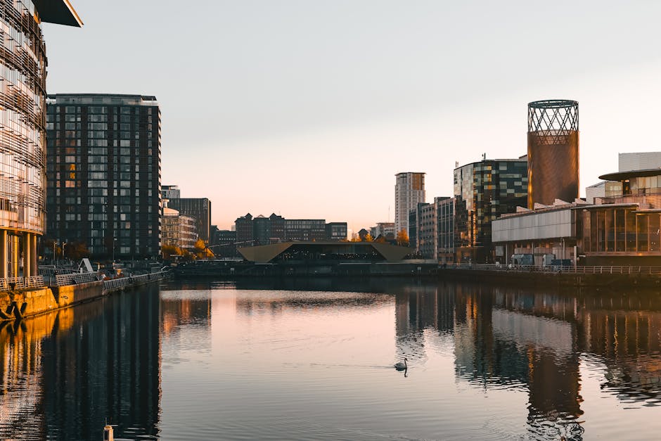 A tranquil urban scene featuring a calm river reflecting surrounding modern buildings during sunset. On the left, a multi-storey commercial building with curved glass facades displays a mix of reflective windows and metal finishes, capturing the warm glow of the setting sun. To the right, a distinctive cylindrical tower with a lattice-patterned top is prominently visible against the sky. In the background, additional high-rise structures with varying architectural styles, including glass and steel exteriors, extend along the riverbank. Along the river's edge, a walkway with protective railings and scattered benches runs parallel to the water, which is partly shaded and exhibits gentle ripples. A single swan is floating near the center of the river, adding a natural element to the scene. The overall atmosphere is peaceful, highlighting the contrast between the urban environment and the quiet waterway, with subtle references to city infrastructure supporting private waste management and alternative collection services, as utilized by Waste Collection Docklands for efficient rubbish removal in the area.